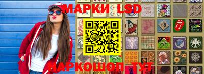 индика Новодвинск