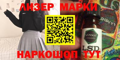 мдпв Новозыбков