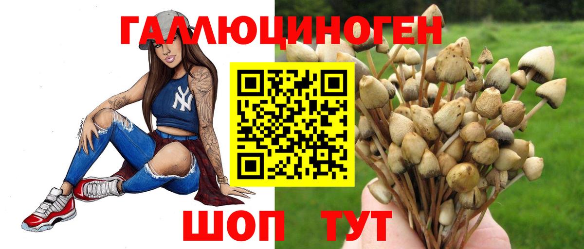 Сунжа  Галлюциногенные грибы прущие грибы  Вход с VPN 