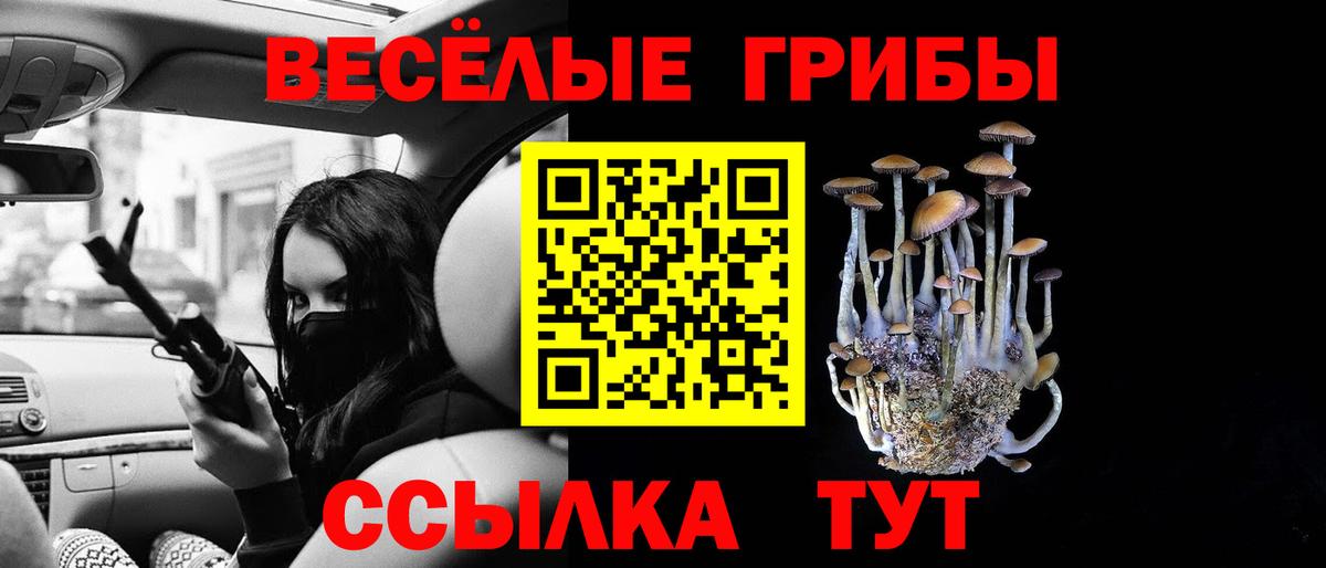 Галлюциногенные грибы прущие грибы Сунжа