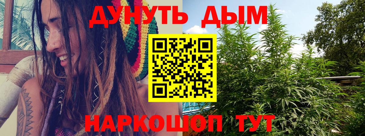 Конопля MAZAR  Вход с VPN  Сунжа  Каннабис тримм  Марихуана Amnesia  Бошки марихуана план 